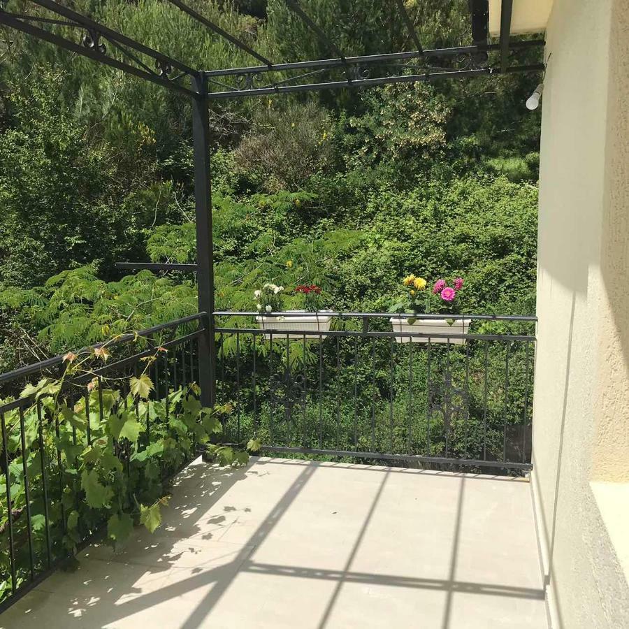 Apartments Petkovic Petrovac ภายนอก รูปภาพ