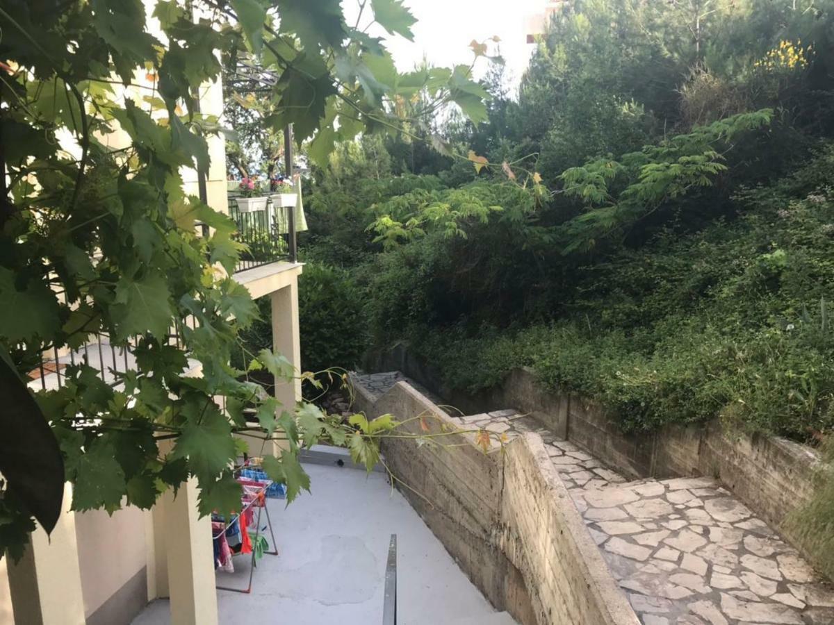 Apartments Petkovic Petrovac ภายนอก รูปภาพ
